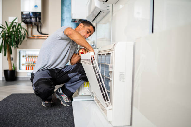 Best Air Duct Cleaning Company Near Me  in Petersburg, IL