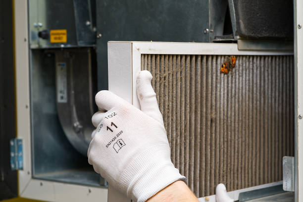 Best Air Duct Cleaning Near Me  in Petersburg, IL