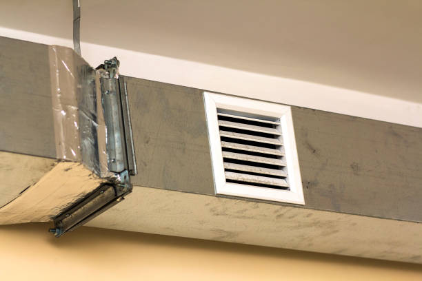 Best Home Air Vent Cleaning  in Petersburg, IL